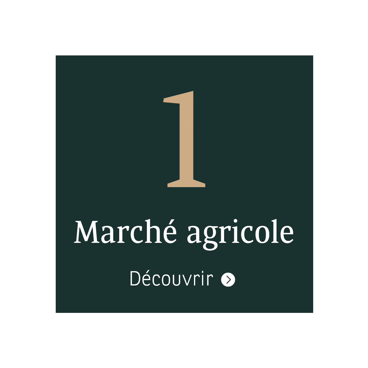 Video Agrifrance