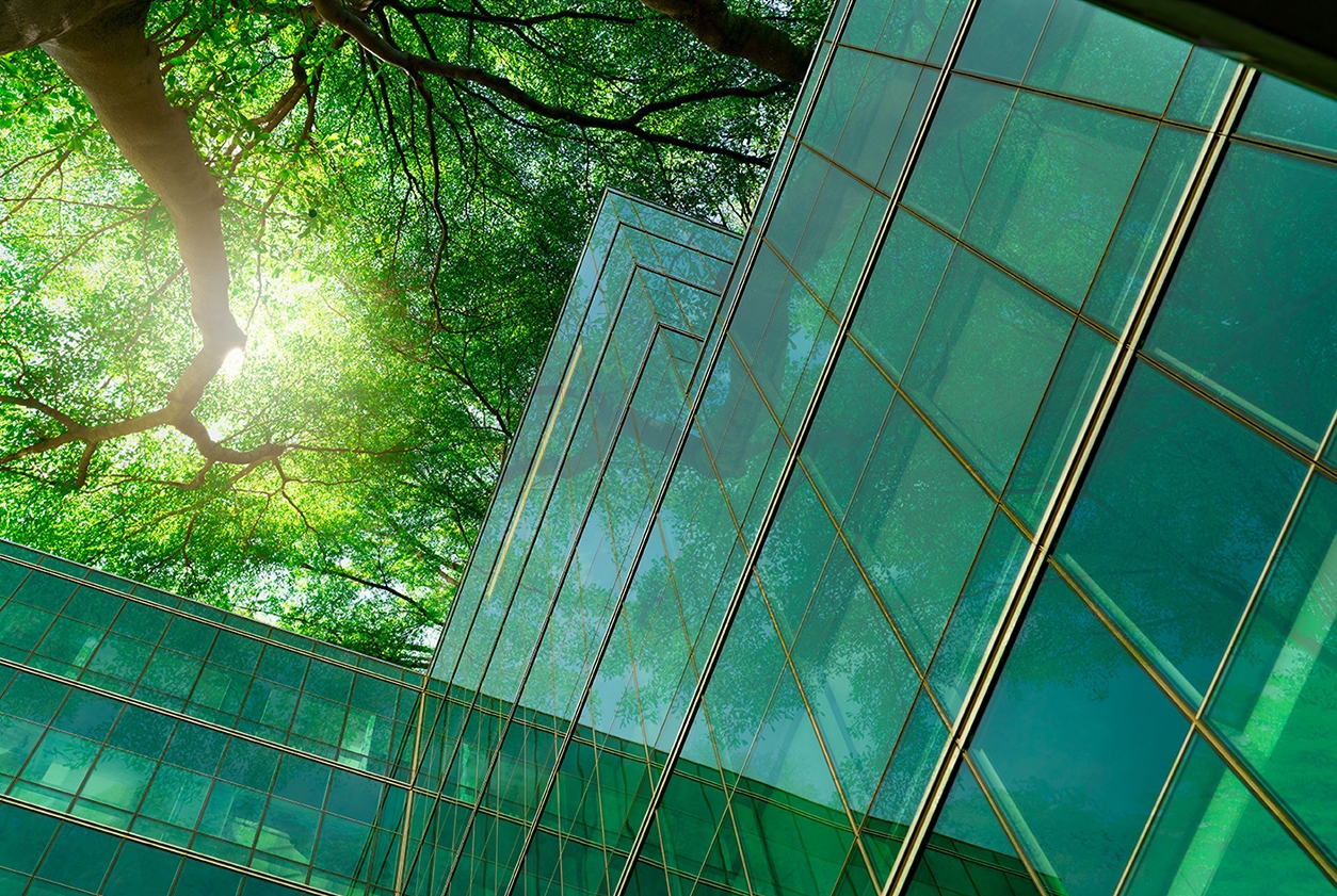 Building tree Building tree